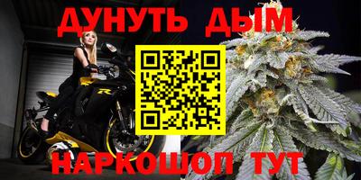 индика Гусиноозёрск