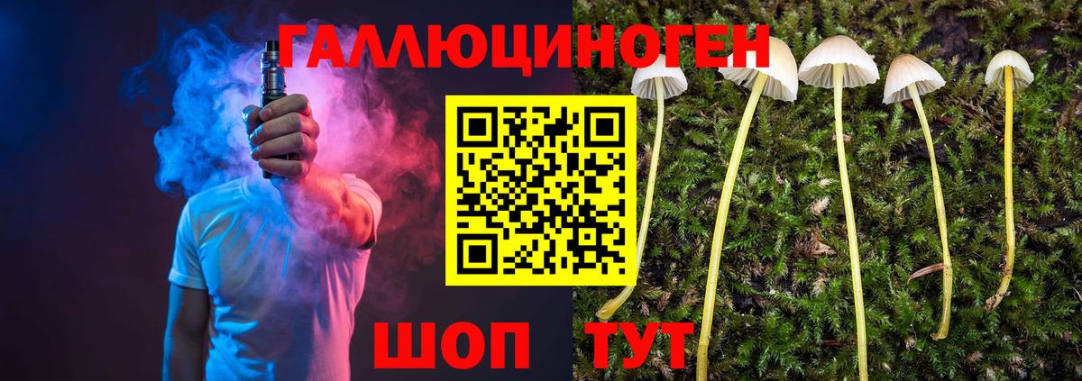 Галлюциногенные грибы Psilocybine cubensis  Вход с VPN  Людиново 