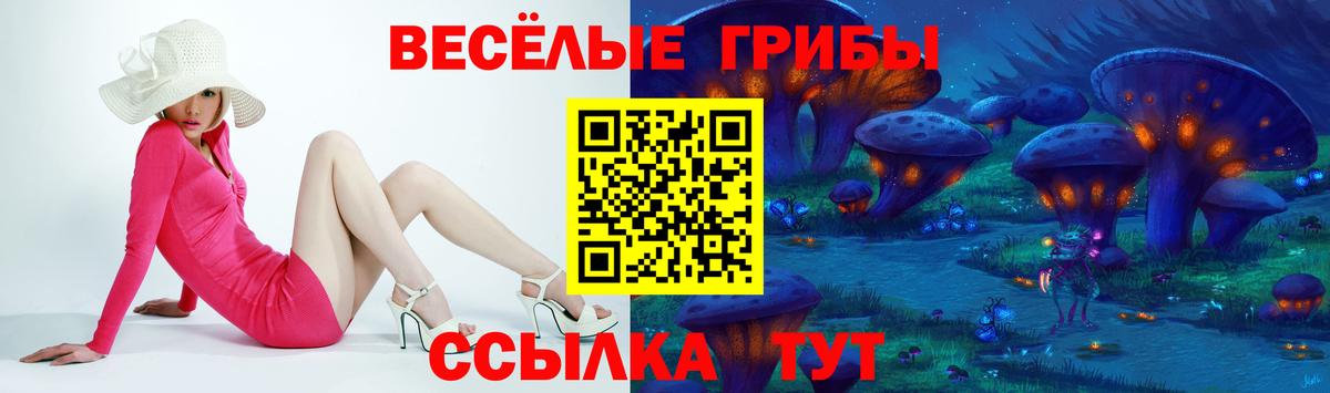 Псилоцибиновые грибы прущие грибы Людиново